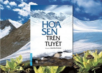 “Hoa sen trên tuyết” – điểm tựa để tìm lại chính mình