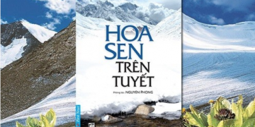 “Hoa sen trên tuyết” – điểm tựa để tìm lại chính mình