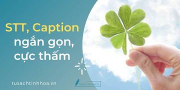 9981+ STT Cap Ngắn Gọn, Cực Thấm Về Tình Yêu, Cuộc Sống