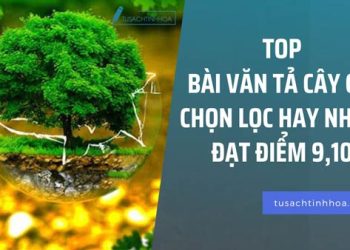 Top Bài Văn Tả Cây Cối Chọn Lọc Đạt Điểm 9,10