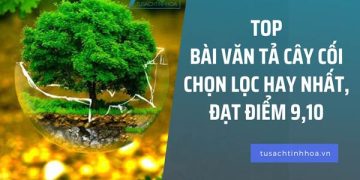 Top Bài Văn Tả Cây Cối Chọn Lọc Đạt Điểm 9,10