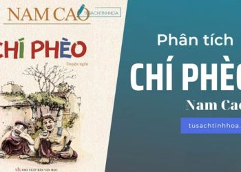 Phân tích Chí Phèo – Nam Cao chọn lọc hay nhất 