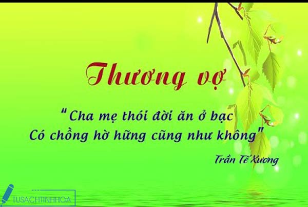 phan tich bai tho thuong vo