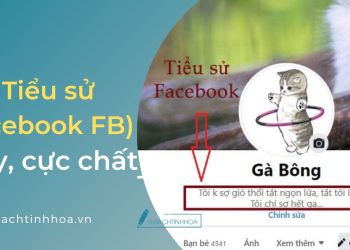 Những Câu Tiểu Sử Facebook (FB) Hay, Cực Chất Cho Profile Ấn Tượng