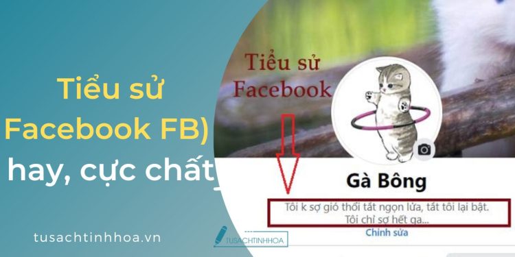Những Câu Tiểu Sử Facebook (FB) Hay, Cực Chất Cho Profile Ấn Tượng