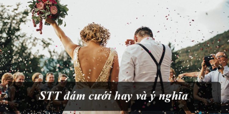 999+ STT Đám Cưới Hay, Ý Nghĩa Tặng Cô Dâu Chú Rể