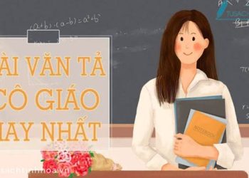 Top bài văn Tả cô giáo chọn lọc hay nhất (Dàn ý + Văn mẫu)